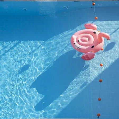 Flamingo 3* ガッテーオ・ア・マーレ