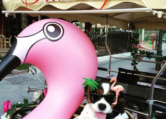Flamingo Hotel