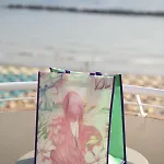 Отель Flamingo