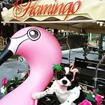 Flamingo Hotel
