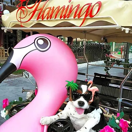 Flamingo Hotel