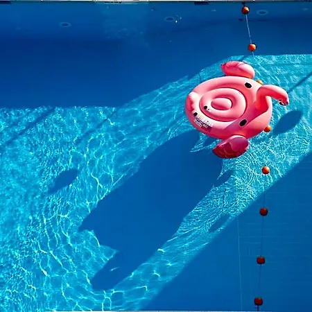 Flamingo 3* Gatteo a Mare