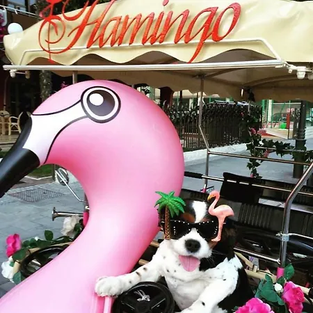 Flamingo Hotel